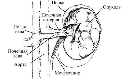 женщина