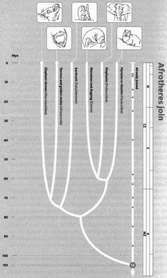 защитный эффект