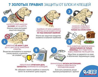 пятно пятно