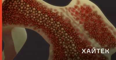 Новый способ отсеять проблемные стволовые клетки, делая терапию более безопасной