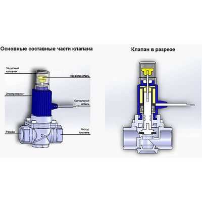 Предотвращение кальцификации биопротезов сердечных клапанов