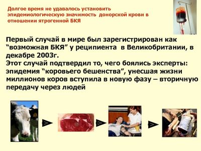 италии италии