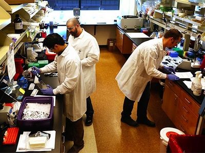 молочной железы