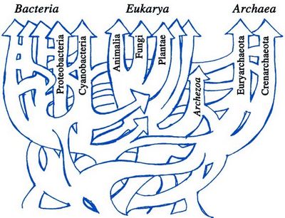 зависит скорость