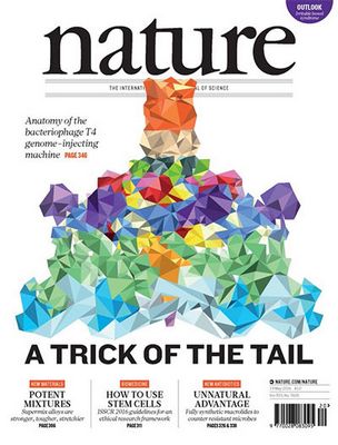 иммунной системой