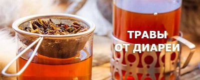 толстой кишки