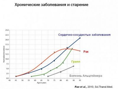 выключить теломеразу