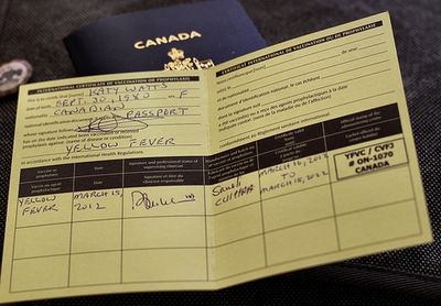 желтой лихорадки