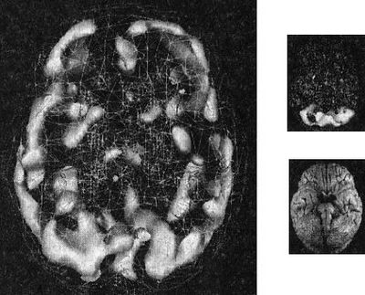 поведенческая