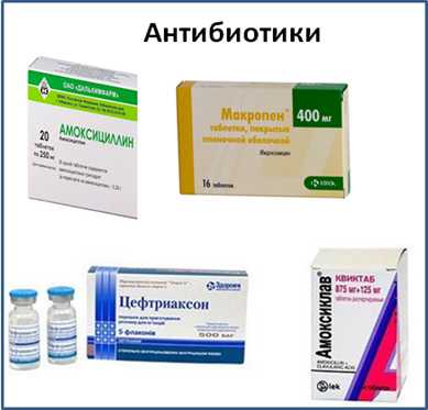 Суперкомпьютеры перехитрили устойчивость к антибиотикам