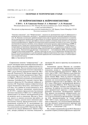 Многие из наиболее быстро развивающихся генов человека связаны с эволюционными изменениями в развитии мозга